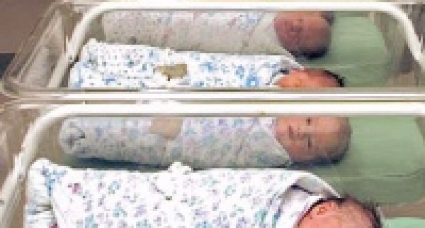 Демографическая ситуация в Липецке существенно улучшилась