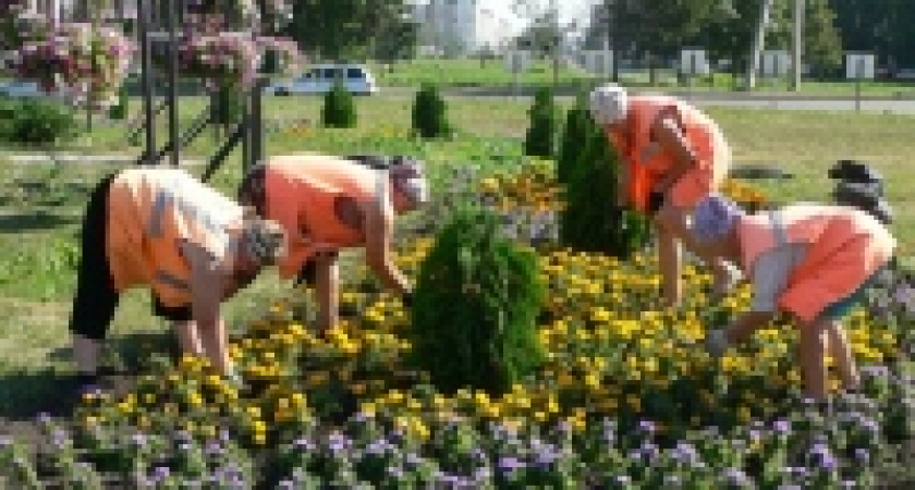 В Липецке появятся 500 новых деревьев и 2,5 тысячи кустарников