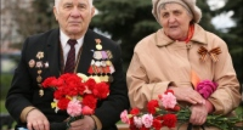 В Липецке осталось менее 800 участников Великой Отечественной Войны