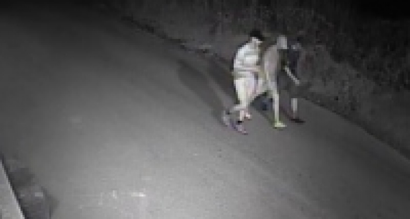 В Липецке ищут поджигателей