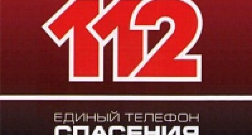 С сегодняшнего дня жители Липецкой области могут вызвать экстренные службы по номеру «112»