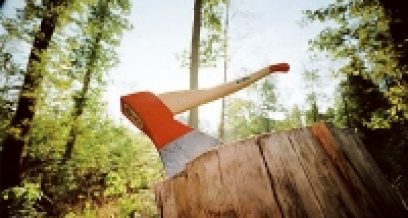 В Липецке развернули незаконную стройку