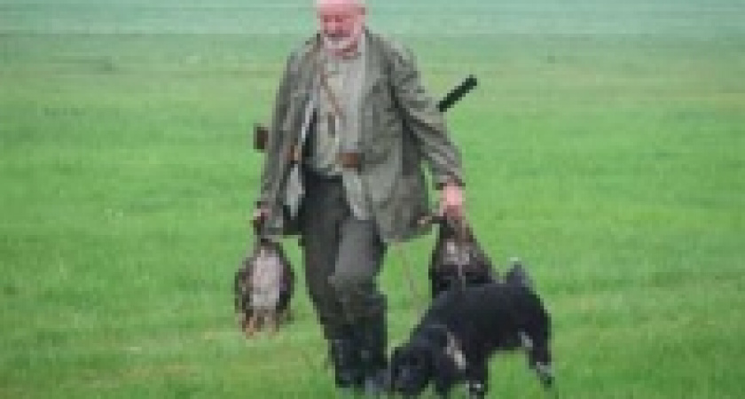 Охотникам разрешили стрелять