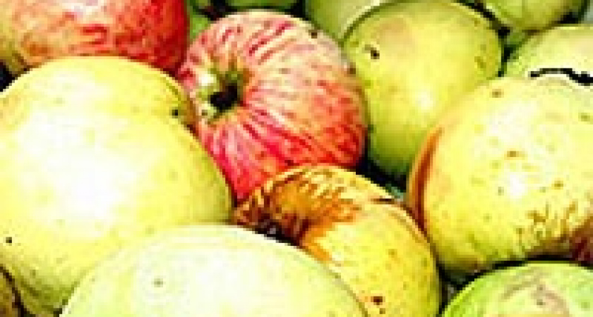 В субботу будет ярмарка