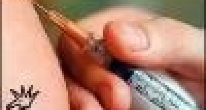 Прививка от дифтерии