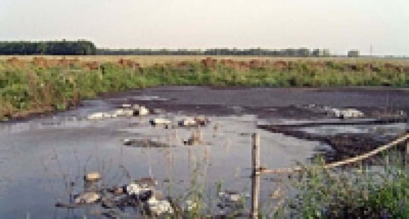 Лебедянь накануне экологической катастрофы?