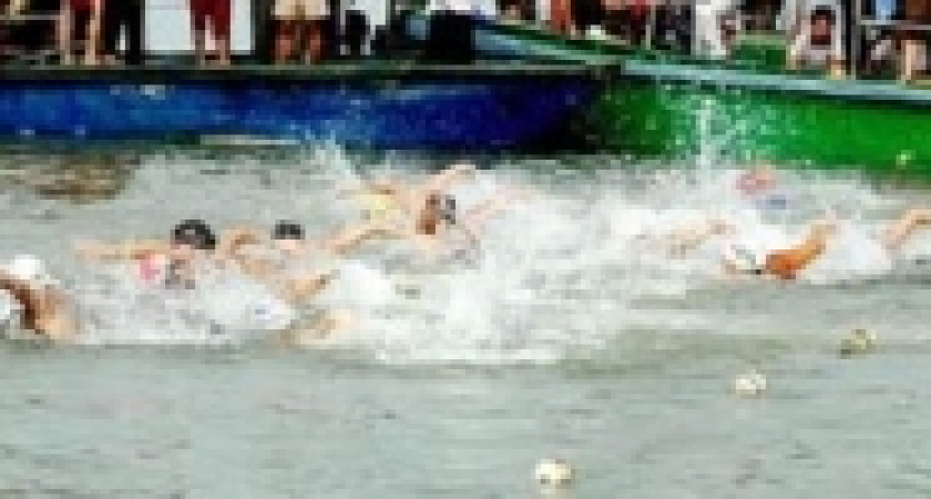 Пловчиха из Липецка получила «бронзу» Кубка мира