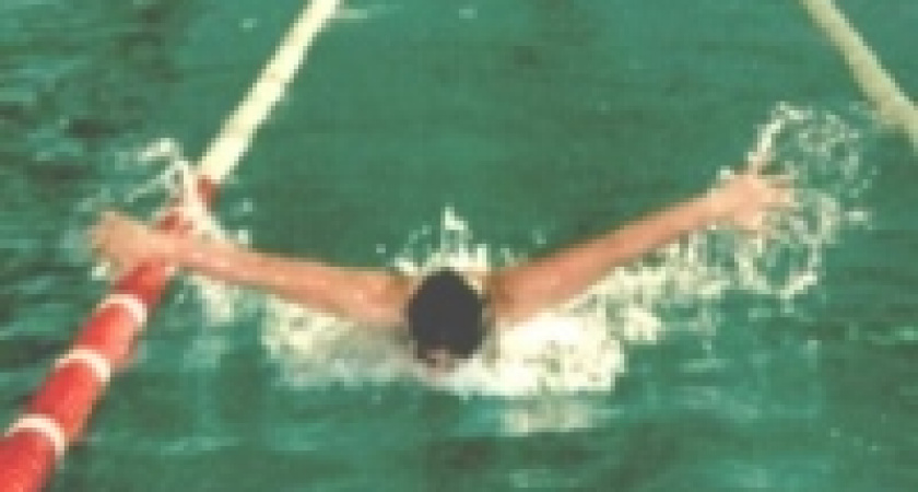 Липецкие пловцы - лучшие в ЦФО