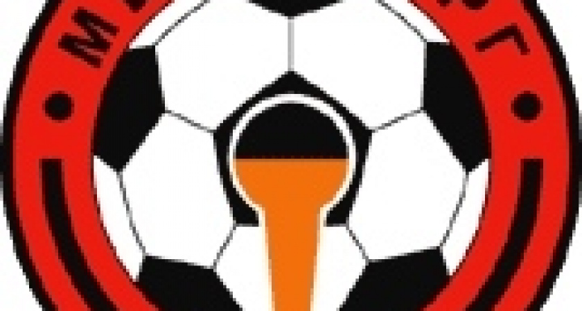 Владимир Мосягин:  «Пока не отказывались от участия в первом дивизионе»