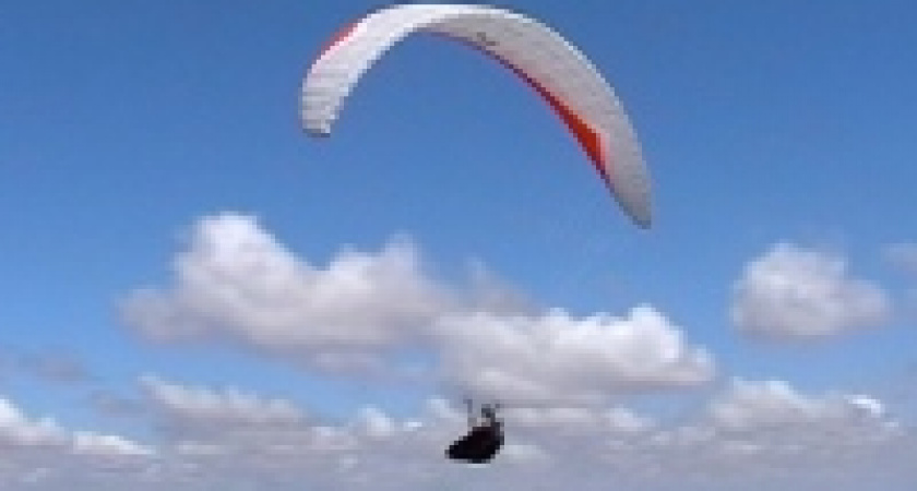 Семь команд из городов Черноземья приехали в Липецк