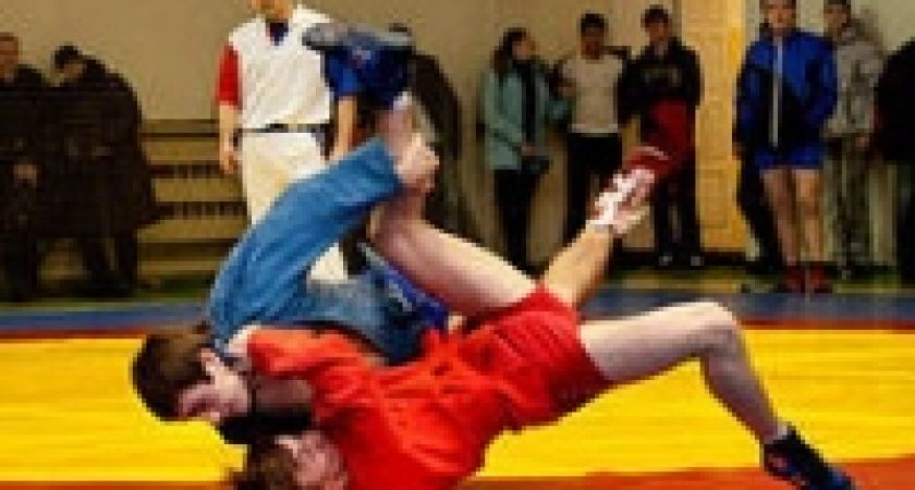 Елецкие самбисты выступят на первенстве России в Дзержинске 