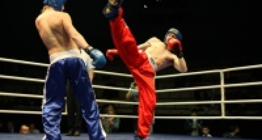  Кикбоксёры Липецкой области заняли второе место на Всероссийском турнире