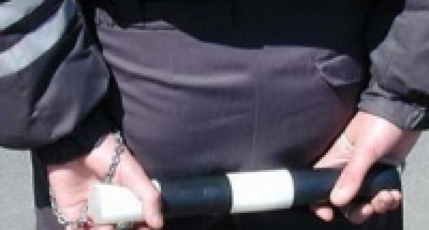 Задержан козел, атаковавший машины на дороге в Москве