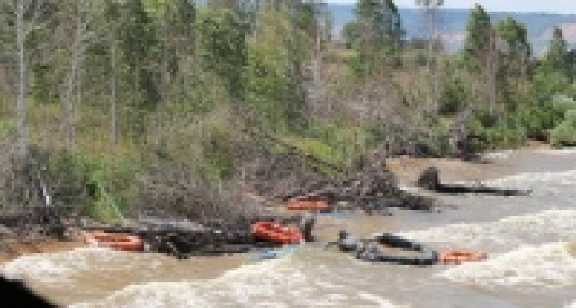 Тонущих пассажиров «Булгарии» снимали на мобильники, вместо того чтобы спасать