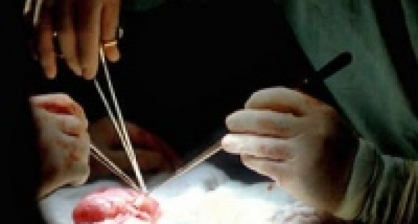 В Национальном институте хирургии Украины нашли банду &laquo;черных трансплантологов&raquo;, торгующих почками россиян