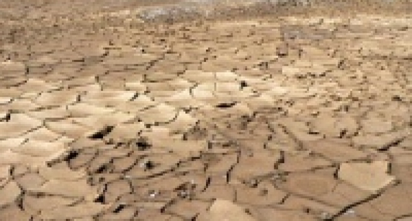 Лимит природных ресурсов на Земле будет исчерпан 21 августа, подсчитали экологи