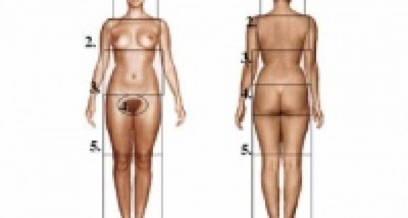 В Австралии вывели математическую формулу идеальной женщины