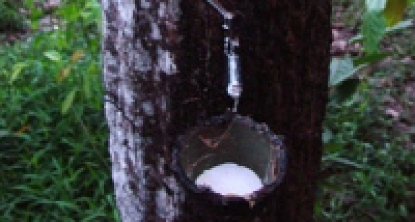 Презервативы и автомобильные шины станут дороже