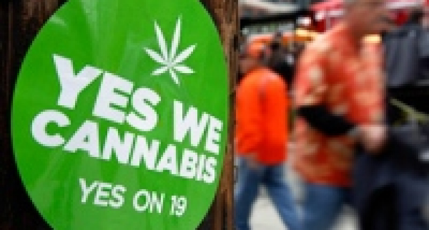 Калифорния нашла замену Шварценеггеру и отказалась от легальной марихуаны