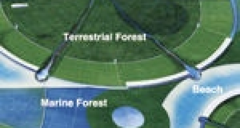 Люди начнут строить города-острова