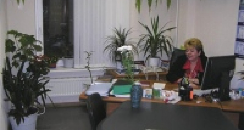 Офисные растения спасают работников от боли и стресса