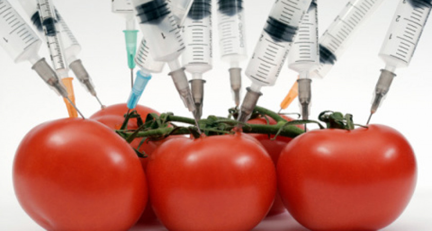 «Черкизово» использует при производстве продукции корма с ГМО