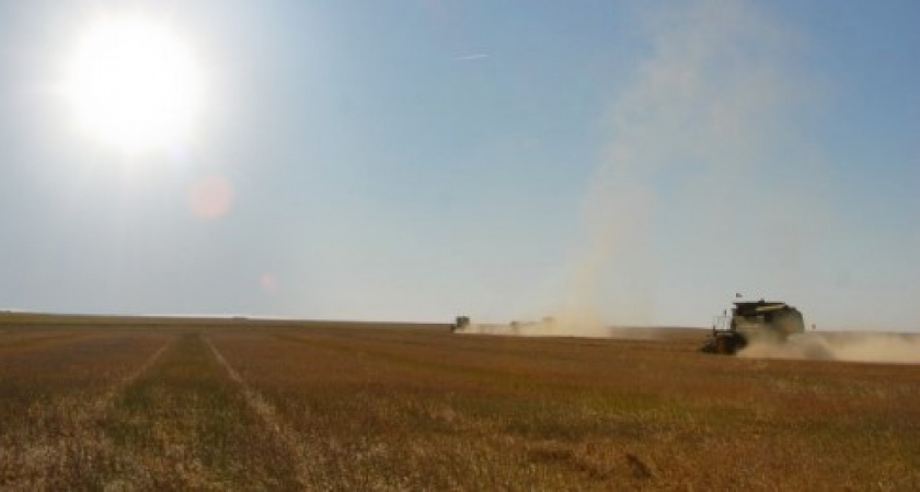 Шведская группа Black Earth Farming, в прямой собственности которой находятся земли в Липецкой области, испытывает влияние санкций