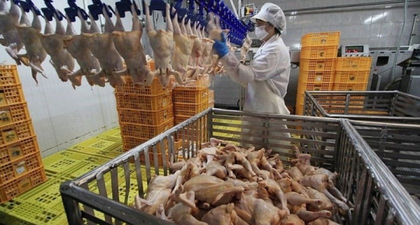 В Липецкой области построили утильзавод за 600 млн. рублей