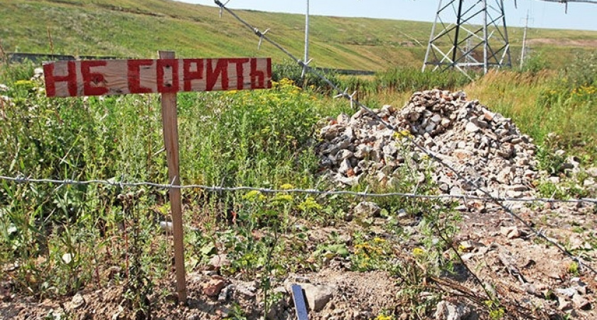 В Липецке за счёт создания санитарной милиции планируют пополнить бюджет