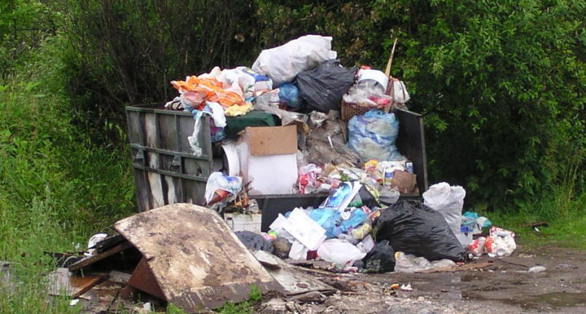 Мэром города Грязи заинтересовалась прокуратура