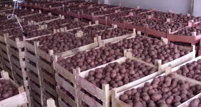 Black Earth Farming переоценила ущерб от пожара на складе картофеля в Липецкой области с 7 до 2,5 млн долларов