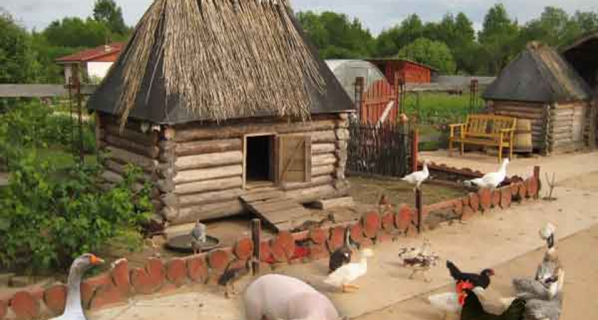 Липецкий губернатор предложил продолжить развитие животноводства в деревенских подворьях