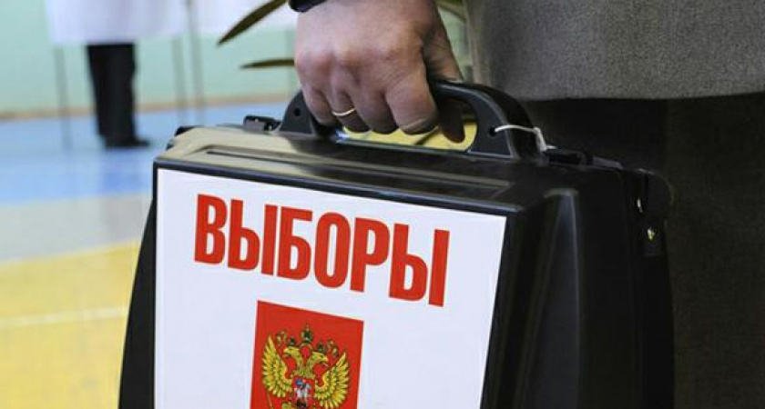 Председатель избирательного участка проворовался на выборах липецкого губернатора
