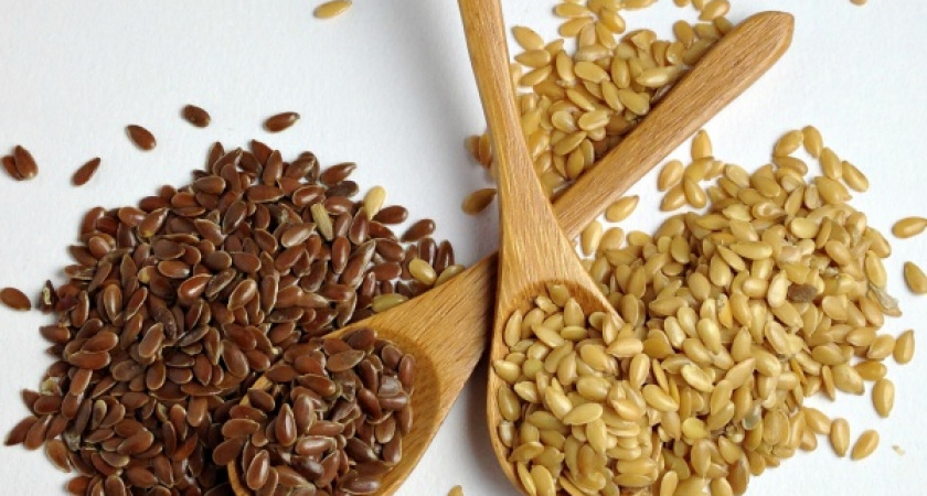 German Seed Alliance пока не начал строить селекционно-семеноводческую станцию в Липецкой области