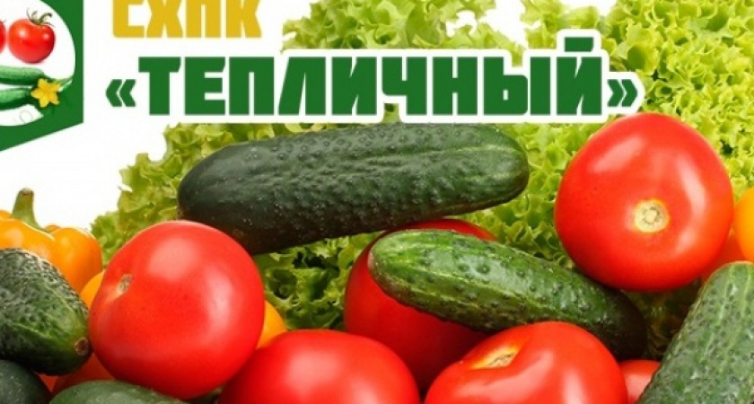 Липецкому производителю огурцов и томатов придется отдать 17,2 млн рублей долга за газ