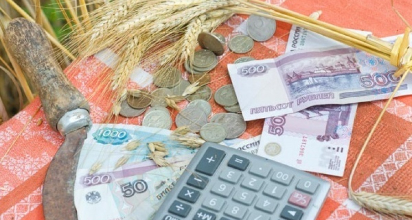 Счетная палата рассказала о просчетах в господдержке сельского хозяйства в Липецкой области