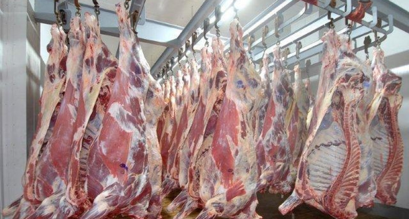 Липецкая компания «Агрохутор» начнет строительство убойного цеха в начале 2017 года