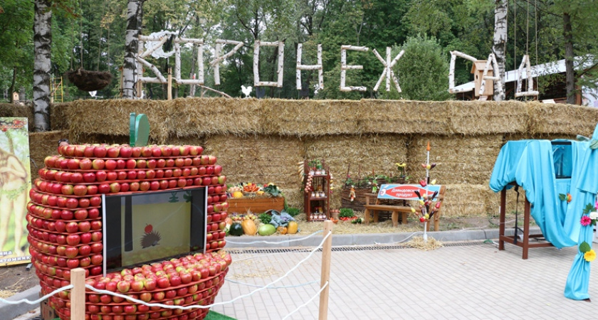«Воронеж-Сад» собрал около 150 тыс. гостей фестиваля