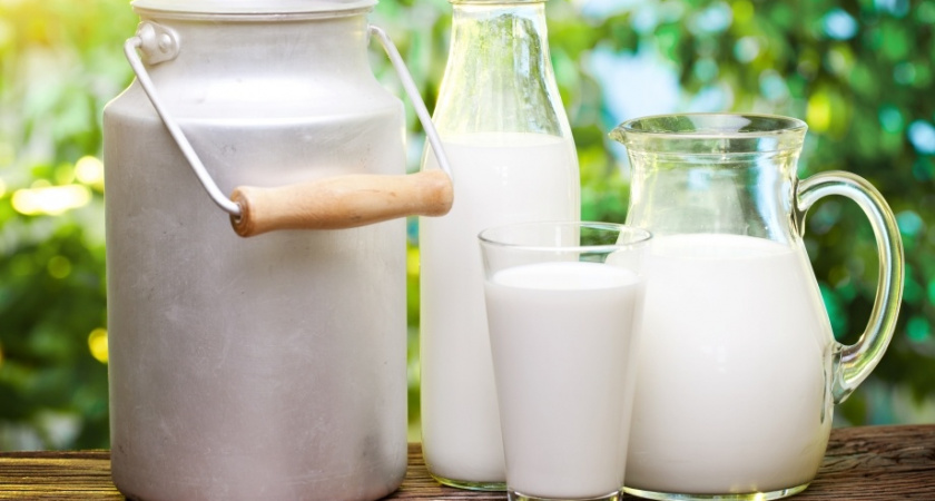 Липецкая компания «Лебедяньмолоко» увеличила производство продукции на 20%
