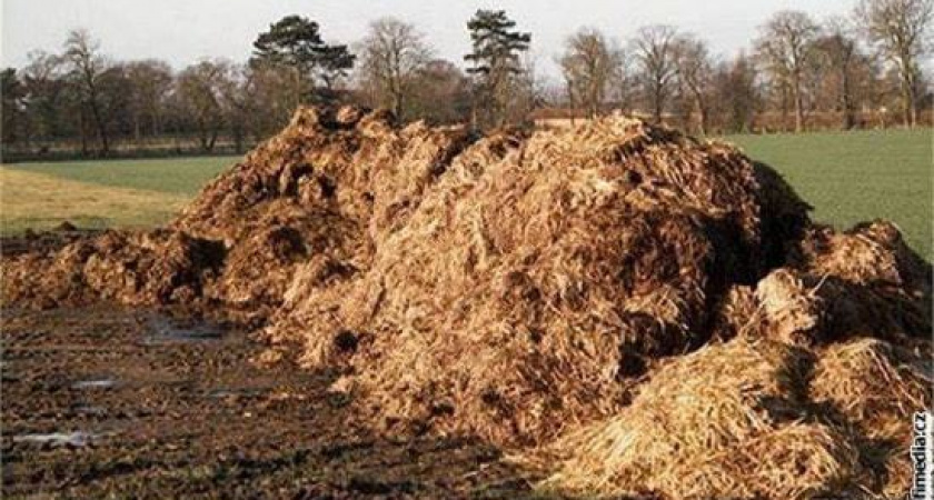 Воронежскую «дочку» Группы «Черкизово» засудили за порчу липецких земель