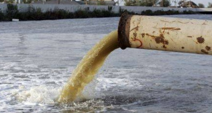 В числе пострадавших от аварии на складе PepsiCo в Липецкой области оказалась рыба