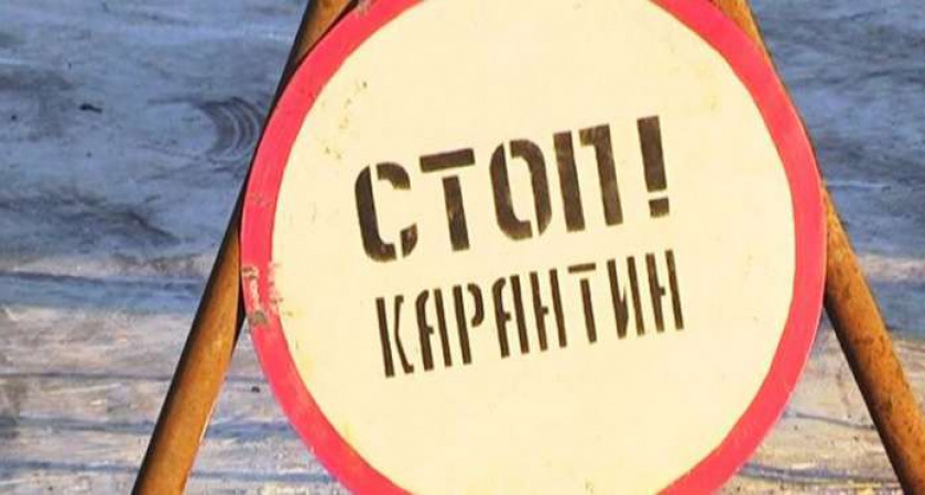 На молочном комплексе в Липецкой области ввели карантин по бешенству