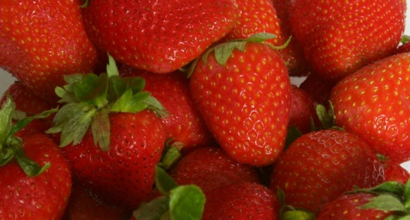 Снабжающая Danone замороженными ягодами липецкая «Фрагария» привлечет кредиты МСП Банка на 414 млн рублей