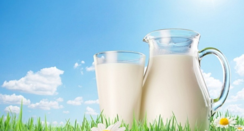 Липецкая «Агрофирма «ТРИО» пробилась в ТОП-30 производителей молока России по рентабельности