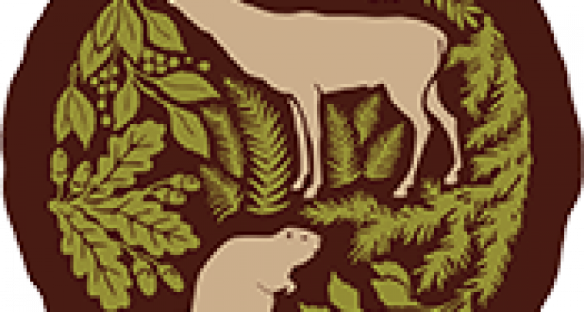 Участник уголовного дела из Липецкой области занял кресло руководителя воронежского заповедника