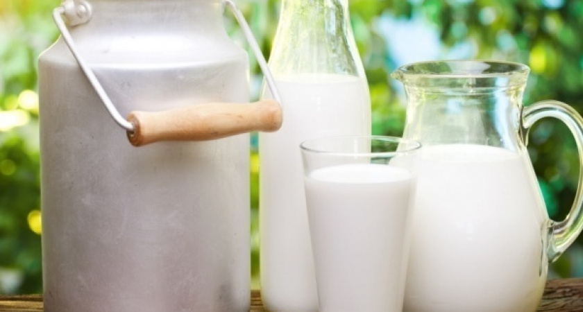 Липецкая область не вырвалась из числа аутсайдеров престижного рейтинга производителей молока