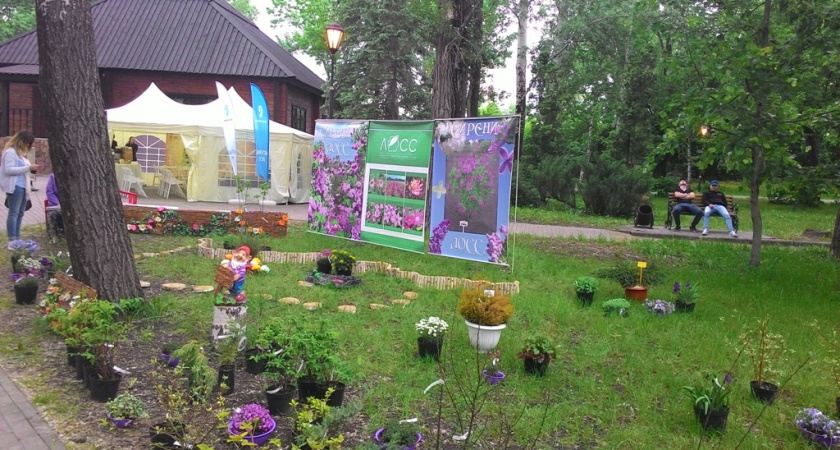 Власти Липецка надеются осуществить глобальное благоустройство за счет средств из вышестоящих бюджетов