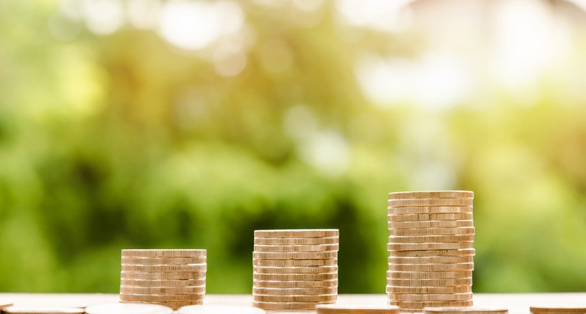 Сенаторы от Липецкой области не отличились ростом доходов в 2017 году