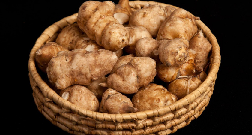 Липецкий завод по переработке топинамбура продолжает «кормить обещаниями» о скором начале строительства