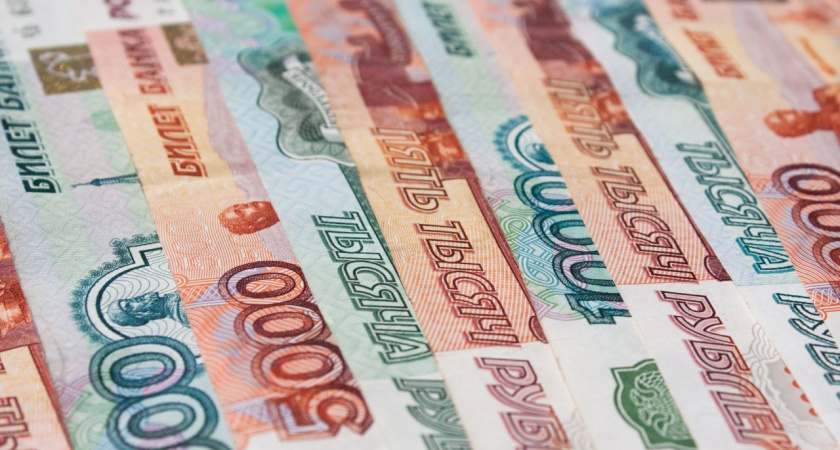 Липецкая бизнесвумен «прикарманила» более 2 млн рублей государственных денег